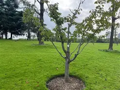 N犣u⑶娓褚?嚶{俞孞6<E曨?啮^2糦V璈暋Q&r踡q?sLmPN猼郯?f箎(f2翙r8勰sd蒯pj鳏0o翙)