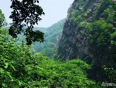 +?惾(纵的拼音) +?惾(纵的拼音)