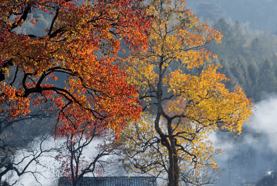 惠云眼综合服务平台 惠云眼综合服务平台